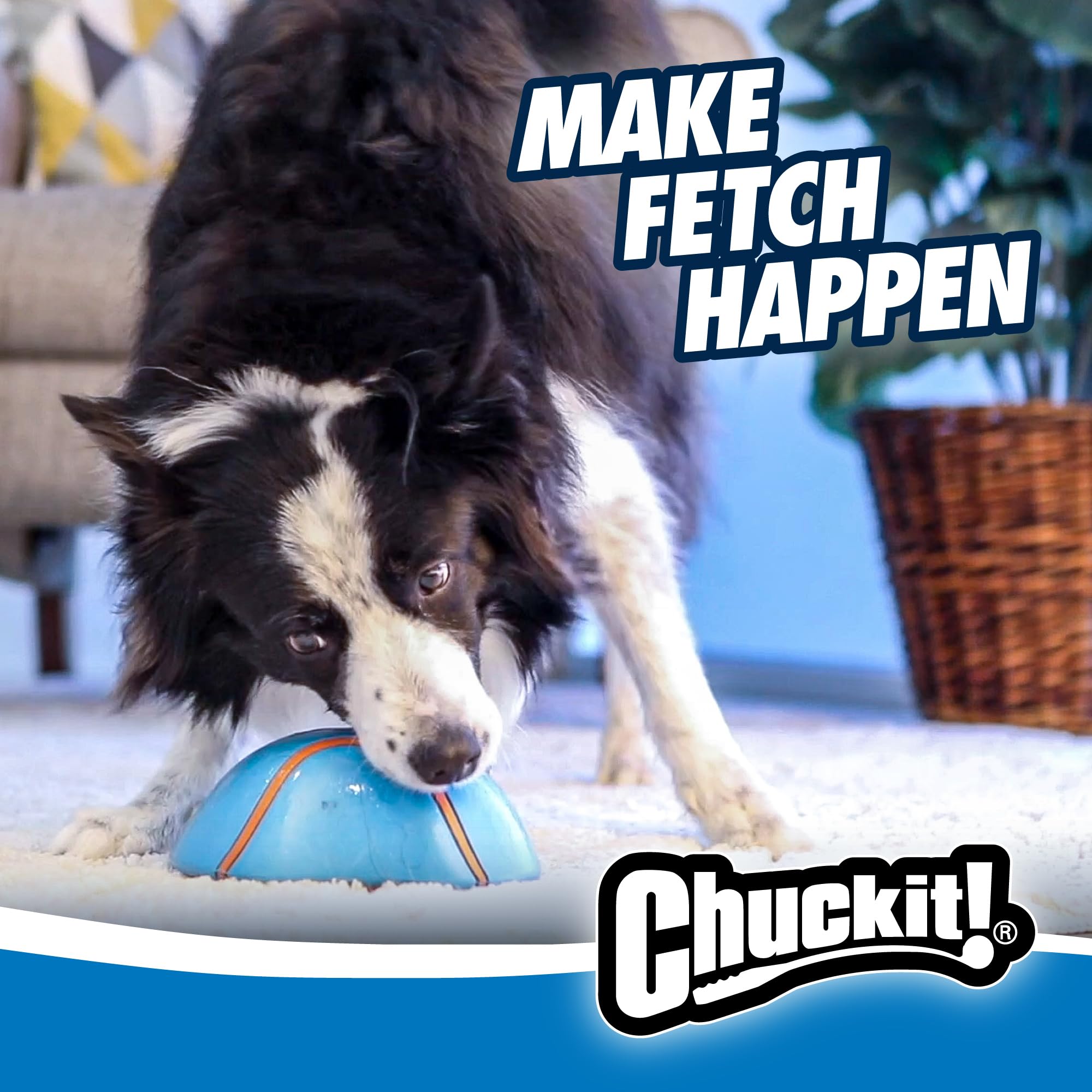 Gifts for Pets
