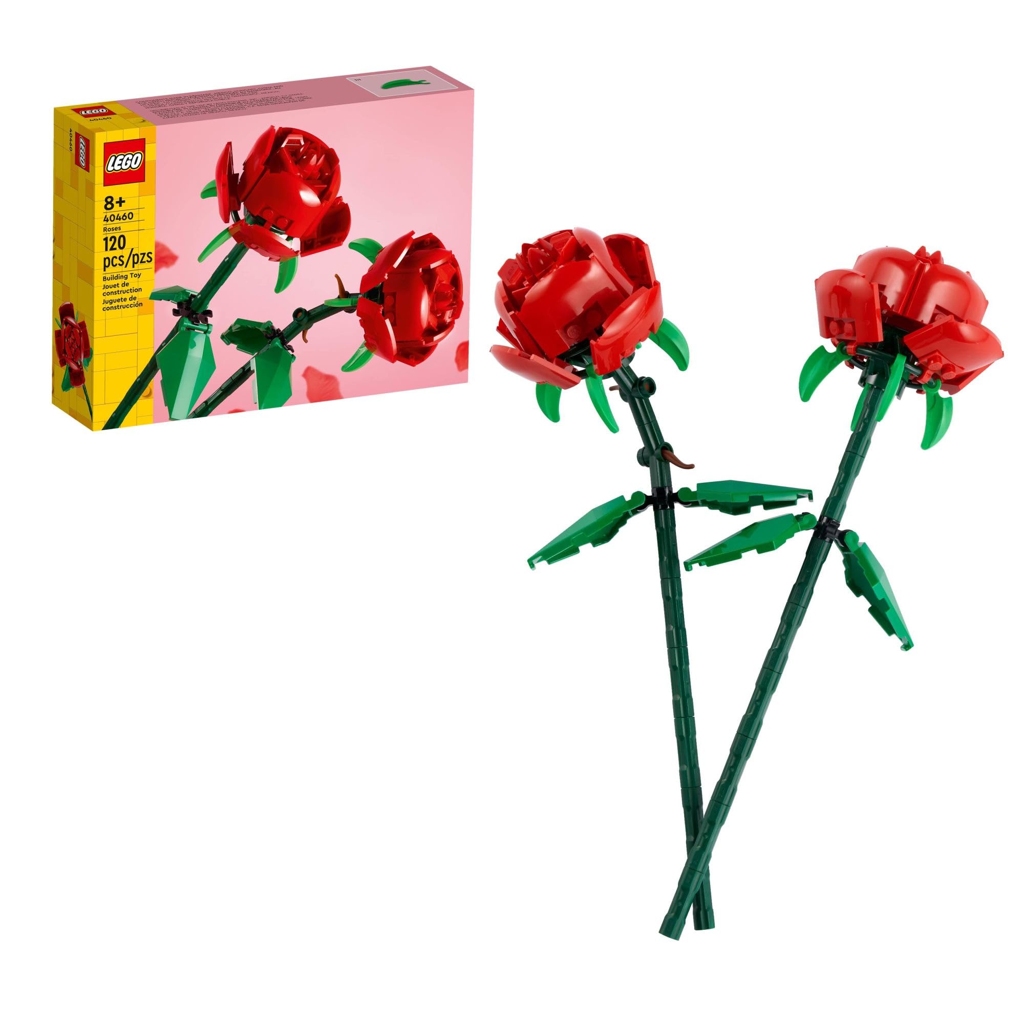 Gifts Below $50