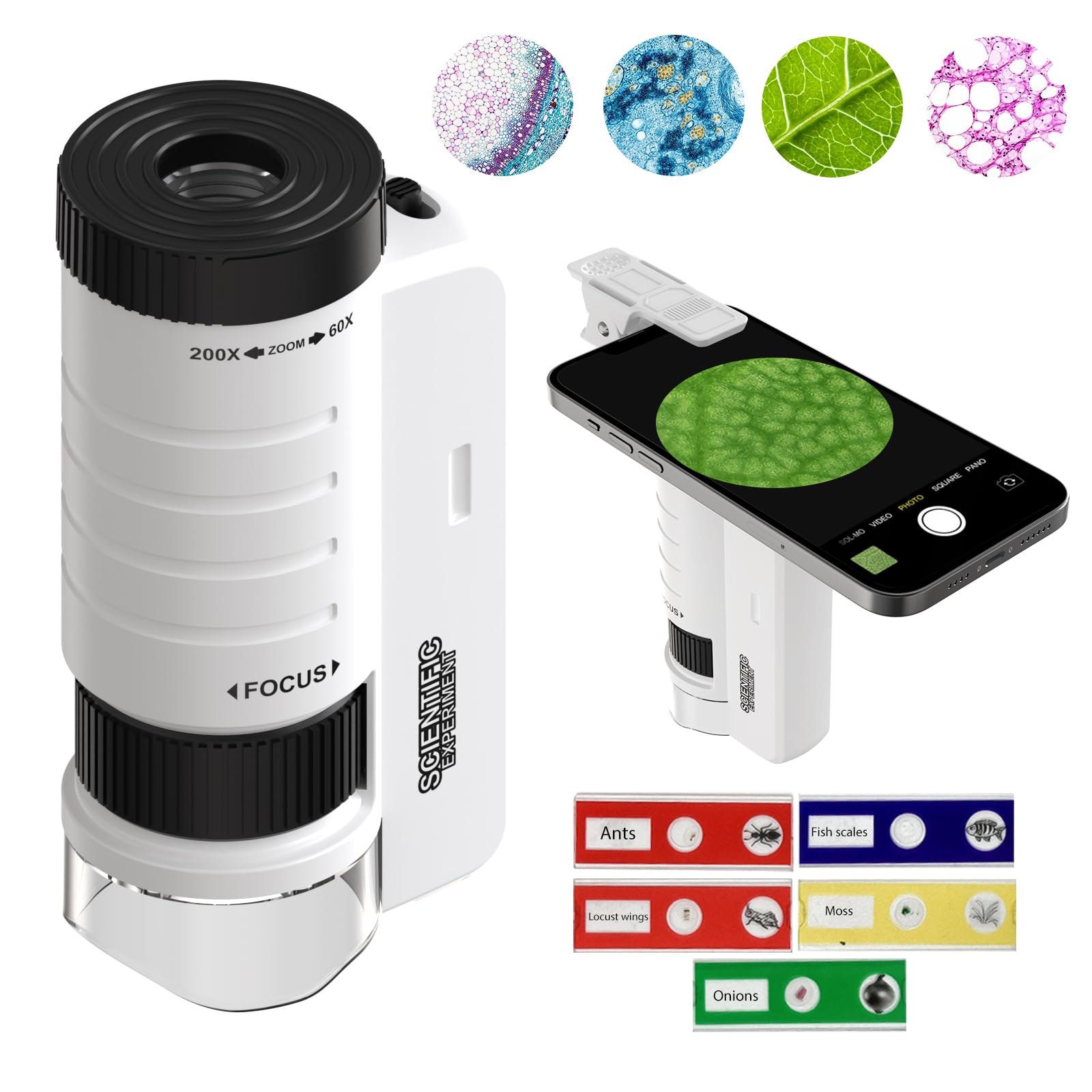 Merry and Bright Mini Microscope for Kids – 60X–120X Magnification STEM Explorer