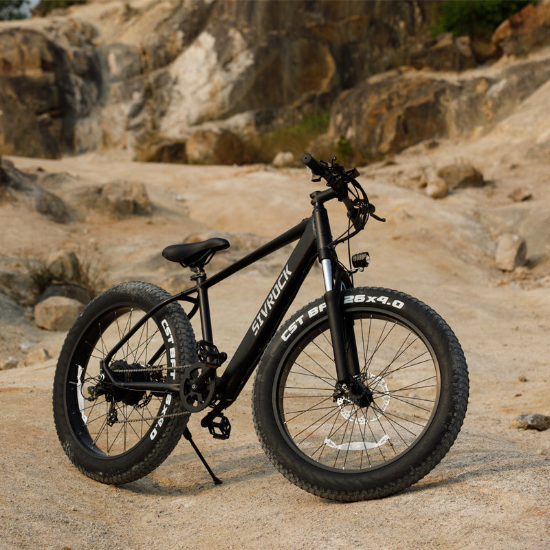 Merry& Bright Luxury Gifts Professional Electric Bike For Adults For Trail Riding, Excursion And Commute